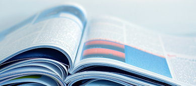 Publikationen des DFI